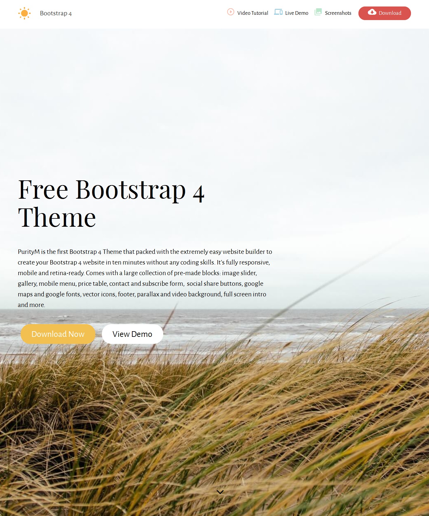 Free Download Bootstrap Blank Theme